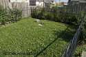 View The Van Dusen Plot