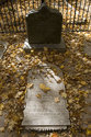Tombstones In The Plot