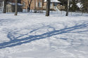 Tombstones Buried In The Snow