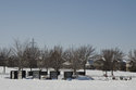 Wall Burials