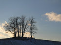 Tombstones Under The Trees Of A Knoll