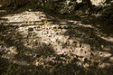 Old Bricks In The Earth