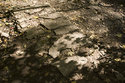 Old Stone Wall