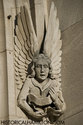 Stone Angel