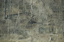 Stone Ruins At The Slope Of The Escarpment