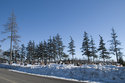 View Binbrook United Church Cemetery