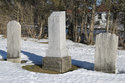 Bush Tombstone