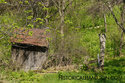 Old Outhouse
