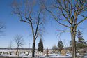 Case Cemetery From The Road