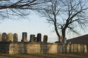 View Shaver Family Cemetery
