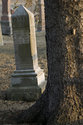 Tombstone Behind Tree