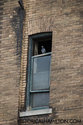 Side Window Of The Theatre With Pigeon