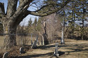 Edge Of The Cemetery
