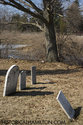 Tombstones By Tree