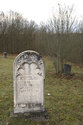 Tombstones And Bushes