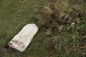 Fallen Tombstone