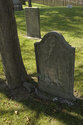 Tombstone Under Tree