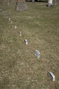 Line Of Tiny Tombstones