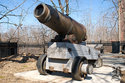 Cannon