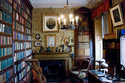 The Library