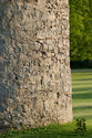Stone Of The Tower