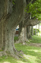 North Glanford Cemetery