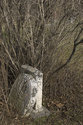 St Pauls Anglican Cemetery