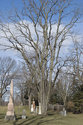 St. Peters Cemetery