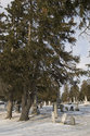 Jerseyville Cemetery