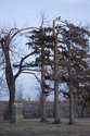 Salem Cemetery