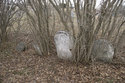 Troy Cemetery