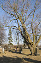 Glenwood Cemetery