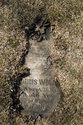 Anshe Sholom Cemetery