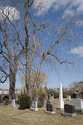 Anshe Sholom Cemetery