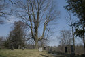 West Flamborough Municipal Cemetery