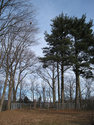 Marx Binkley Cemetery