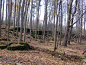 View Hermitage Quarry