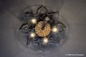 Straight Up View Of Ceiling And Chandelier
