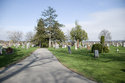 Grove Cemetery