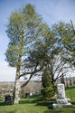 Grove Cemetery