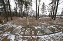 View Lamb Cemetery
