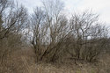 View Red Hill Archery Range