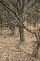 Red Hill Archery Range