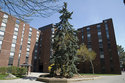 View Woodstock Hall