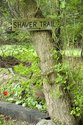 Ancaster Shaver Homestead