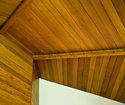 The Harry Lennard House ceiling