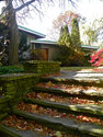 The Kyles House
