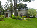 The Dobell Houses