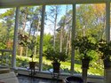 Garnett Residence windows