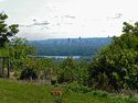 The Fawcett House view